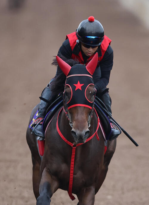 坂路を単走で追い切るフリッカージャブ（撮影・白石智彦）