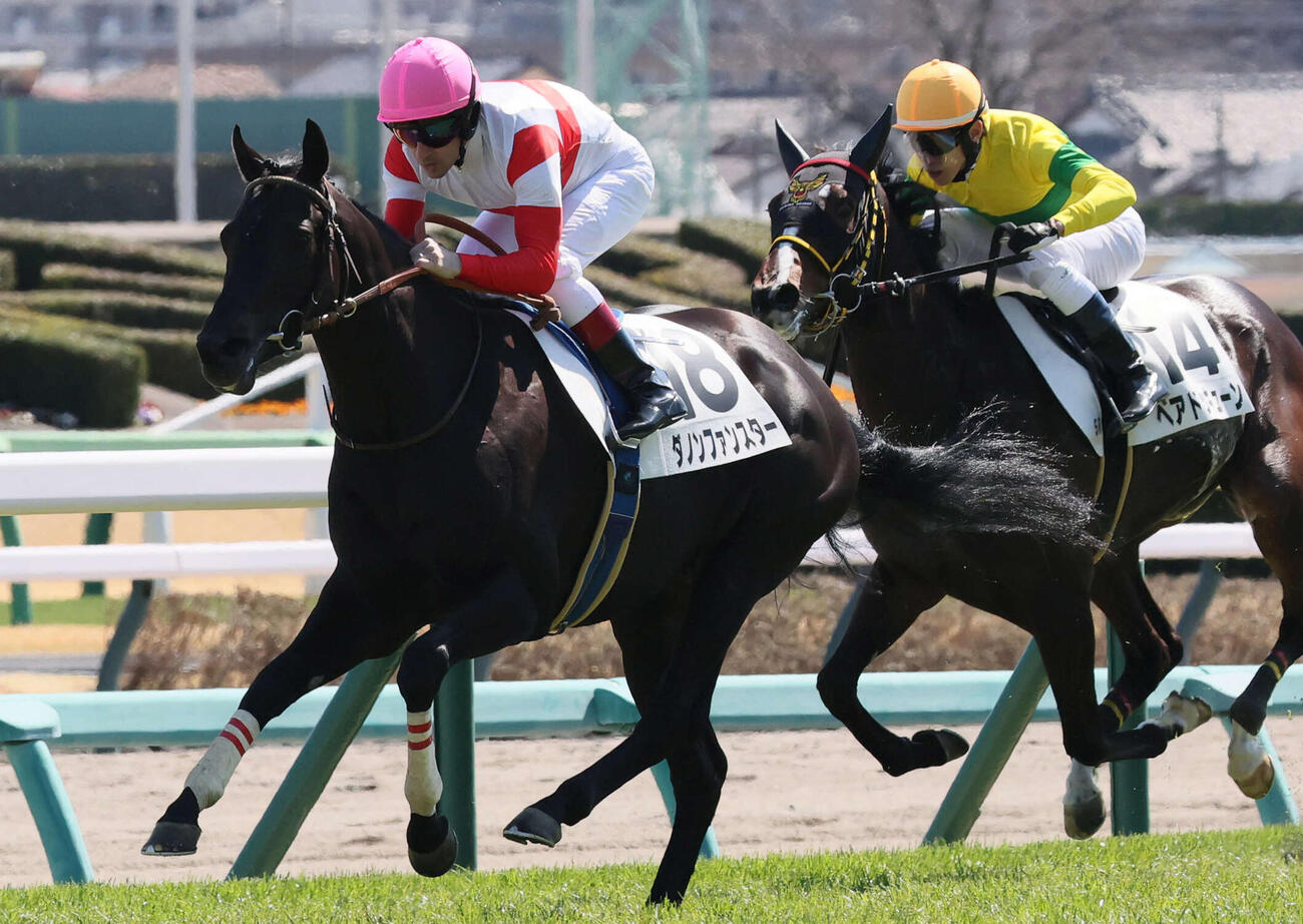 3月15日中山5Rデビュー戦に勝利したダノンファンスターとルメール騎手