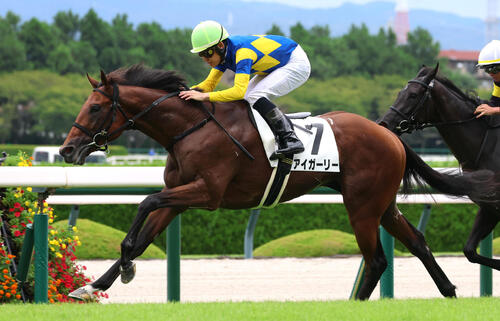 6日阪神7Rの3歳以上1勝クラスを制したアイガーリー