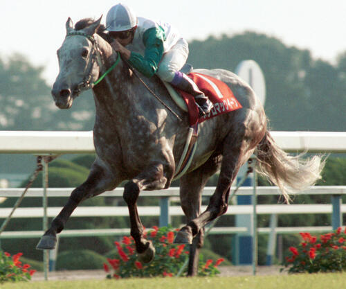 93年京都大賞典を制したメジロマックイーンと武豊騎手
