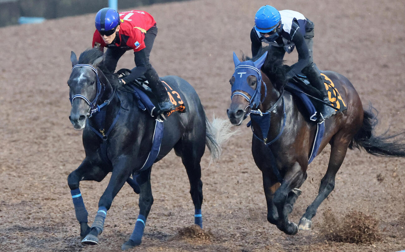 津村明秀騎手を背に追い切られたリアライズシリウス（左）（撮影・丹羽敏通）