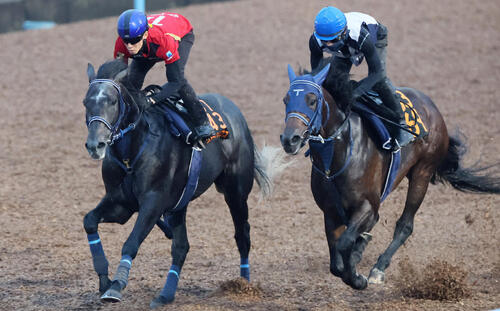 津村明秀騎手を背に追い切られたリアライズシリウス（左）（撮影・丹羽敏通）