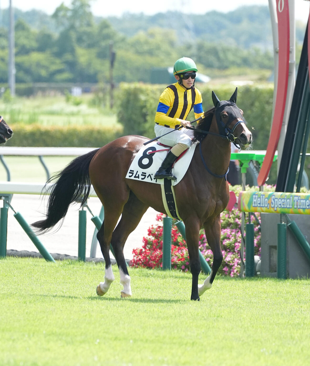 ラムラベイ（2026年8月1日撮影）
