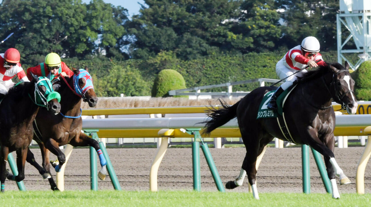 17年サウジアラビアRCを制したダノンプレミアム