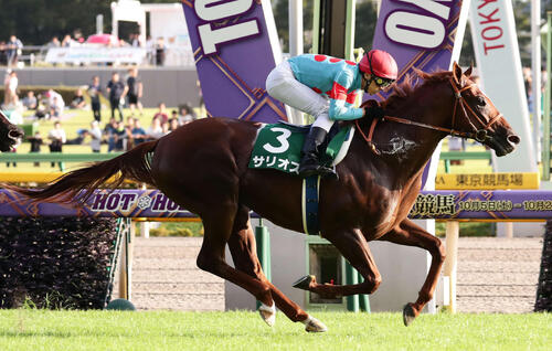 19年サウジアラビアRCを制したサリオス