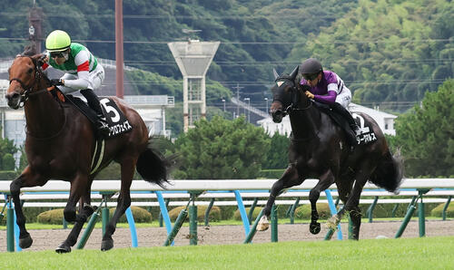 青島特別2着のダークマルス(右)