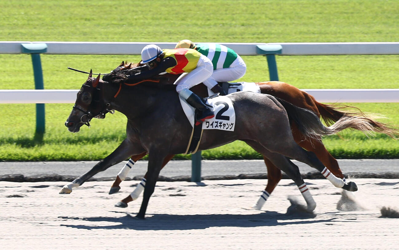 3日京都3R3歳上1勝クラスを制したワイズギャング