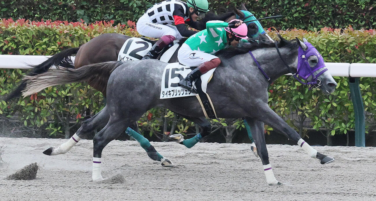 6月21日東京12Rの3歳上1勝クラスを制したタイキブリッツェン