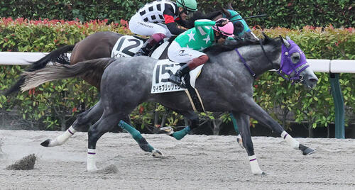 6月21日東京12Rの3歳上1勝クラスを制したタイキブリッツェン