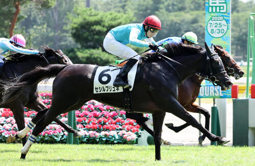 8月22日新潟5Rの3歳未勝利を制したセシルブリュネ