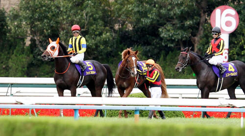 レース後のオルフェーヴル（中央）と池添騎手