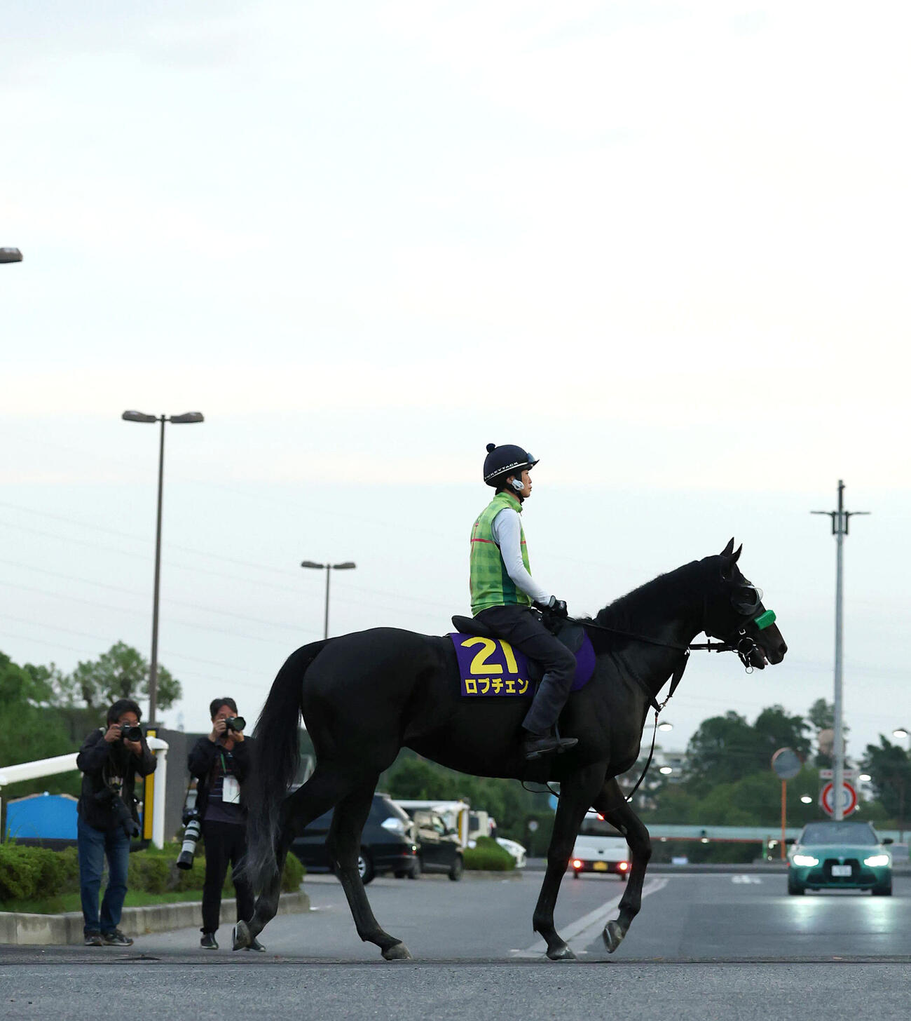厩舎周りで運動するロブチェン（撮影・白石智彦）