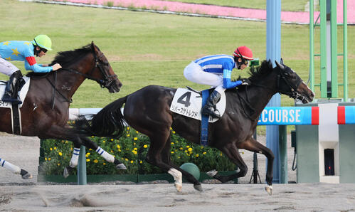 8月8日新潟9R、3歳上牝馬限定の1勝クラスを制したリバースザトレンド