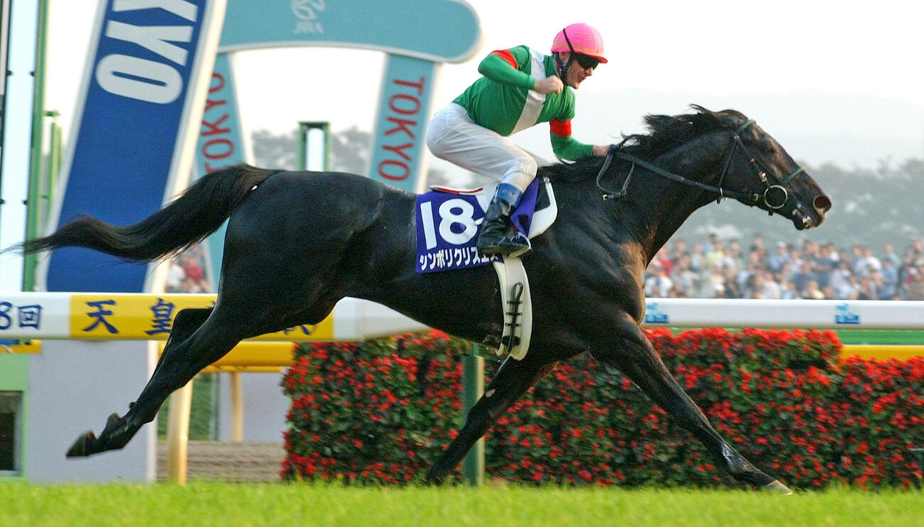 03年天皇賞・秋を制したシンボリクリスエス