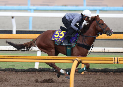 古川吉洋騎手を背にCウッドを単走で追い切るシェイクユアハート（撮影・白石智彦）