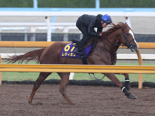 横山典弘騎手を背にCウッドを単走で追い切るレディネス（撮影・白石智彦）