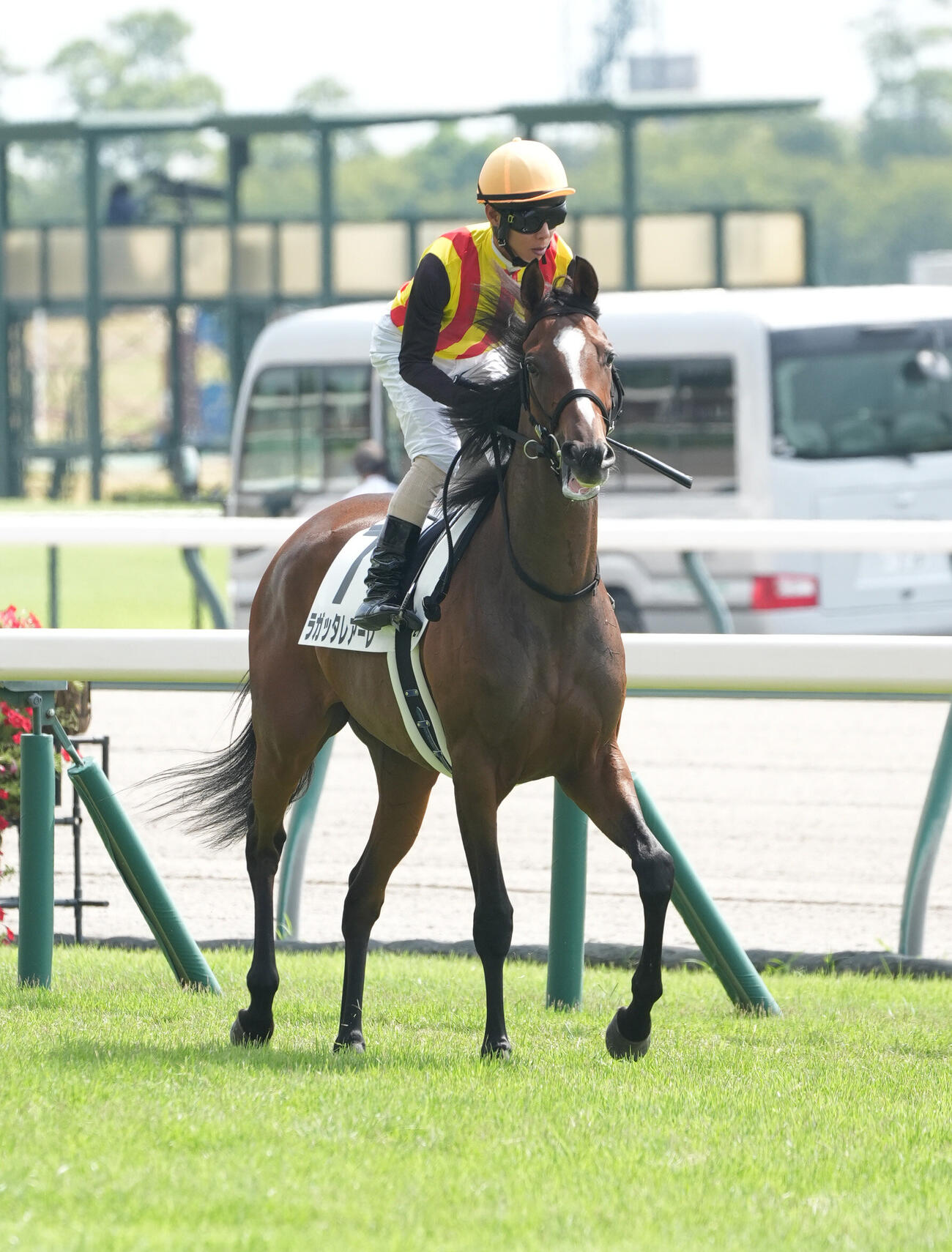 ラガッタレアーレ（2026年8月撮影）