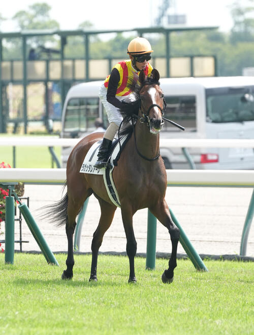 ラガッタレアーレ(2026年8月撮影)