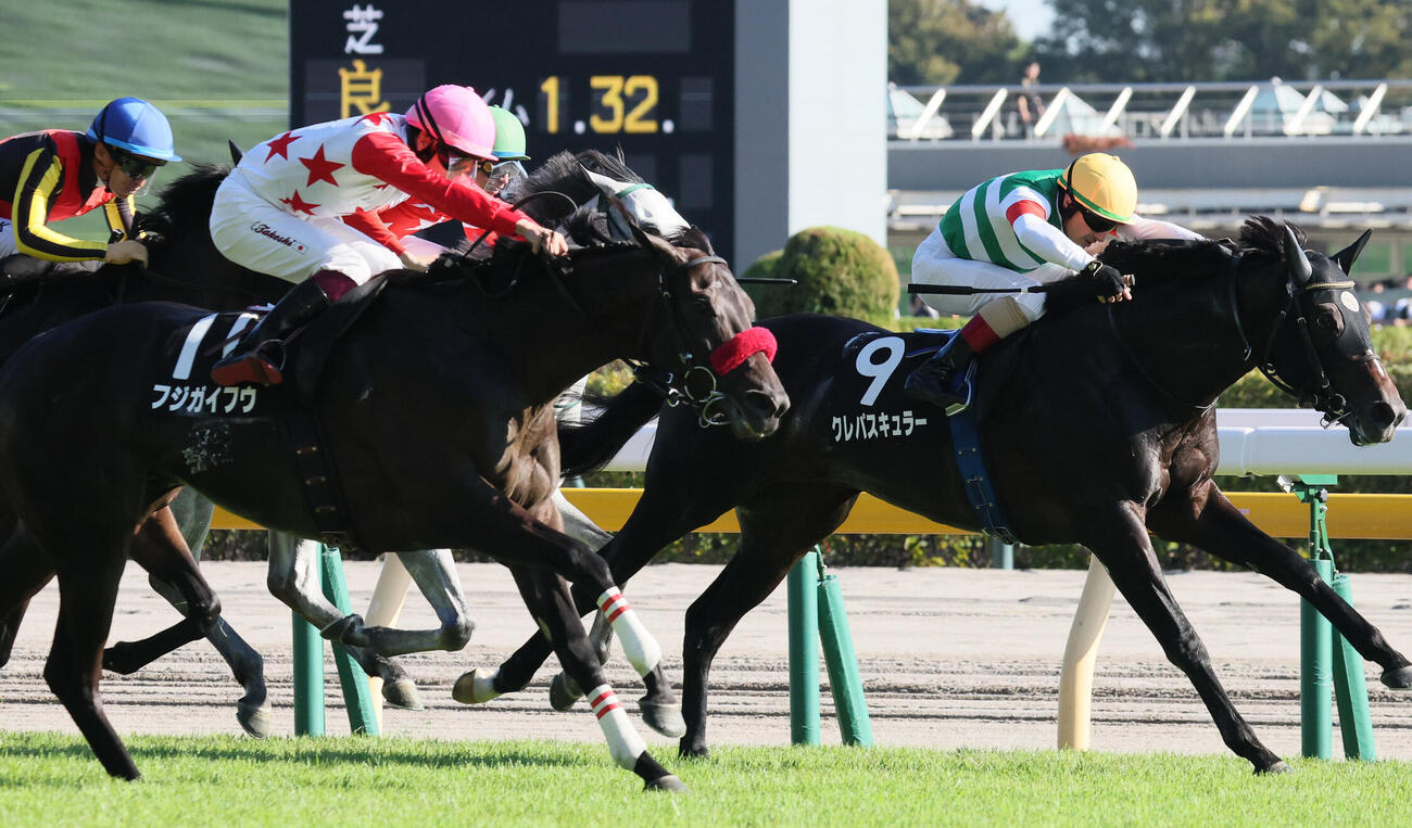 鷹巣山特別2着に敗れたフジガイフウ（左）。右は勝ったクレパスキュラー
