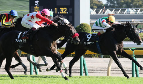 鷹巣山特別2着に敗れたフジガイフウ（左）。右は勝ったクレパスキュラー