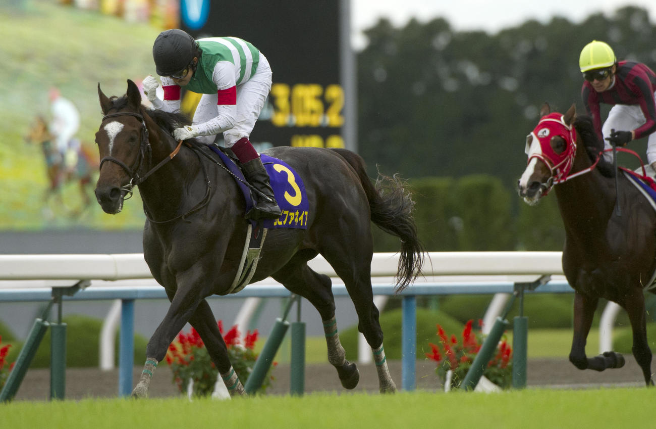 13年の菊花賞でエピファネイアは5馬身差の圧勝