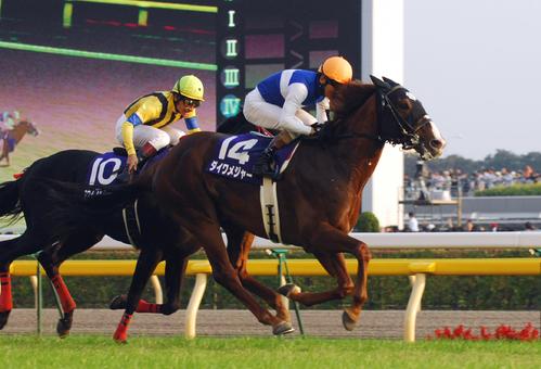 06年、直線抜け出したダイワメジャーがスウィフトカレント（左）を半馬身抑え天皇賞を制した