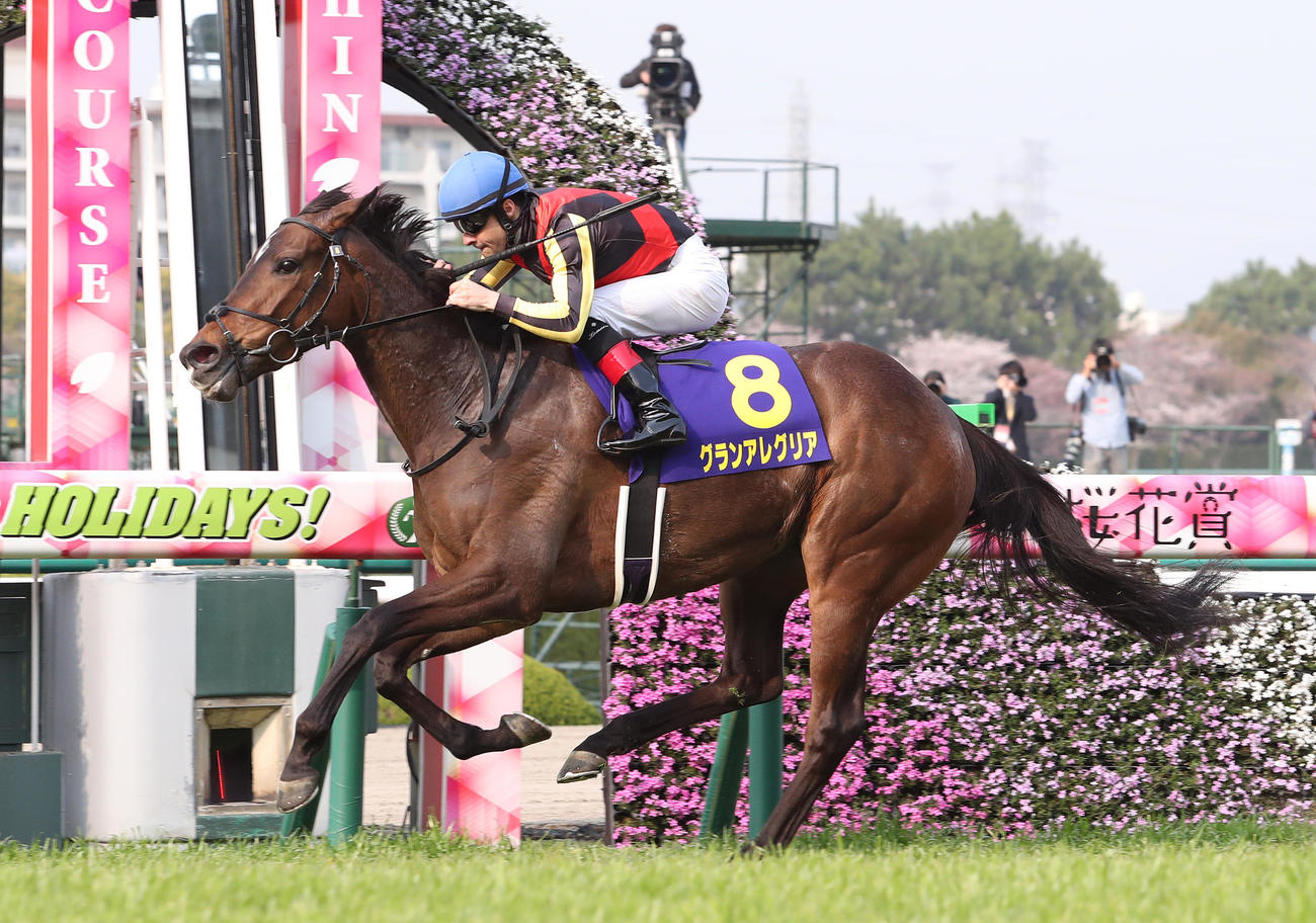 19年、桜花賞を快勝したグランアレグリア