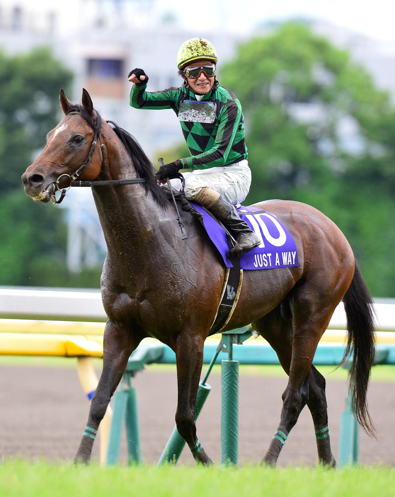 14年、安田記念を制した柴田善騎手は鞍上で誇らしげにジャスタウェイを指さす