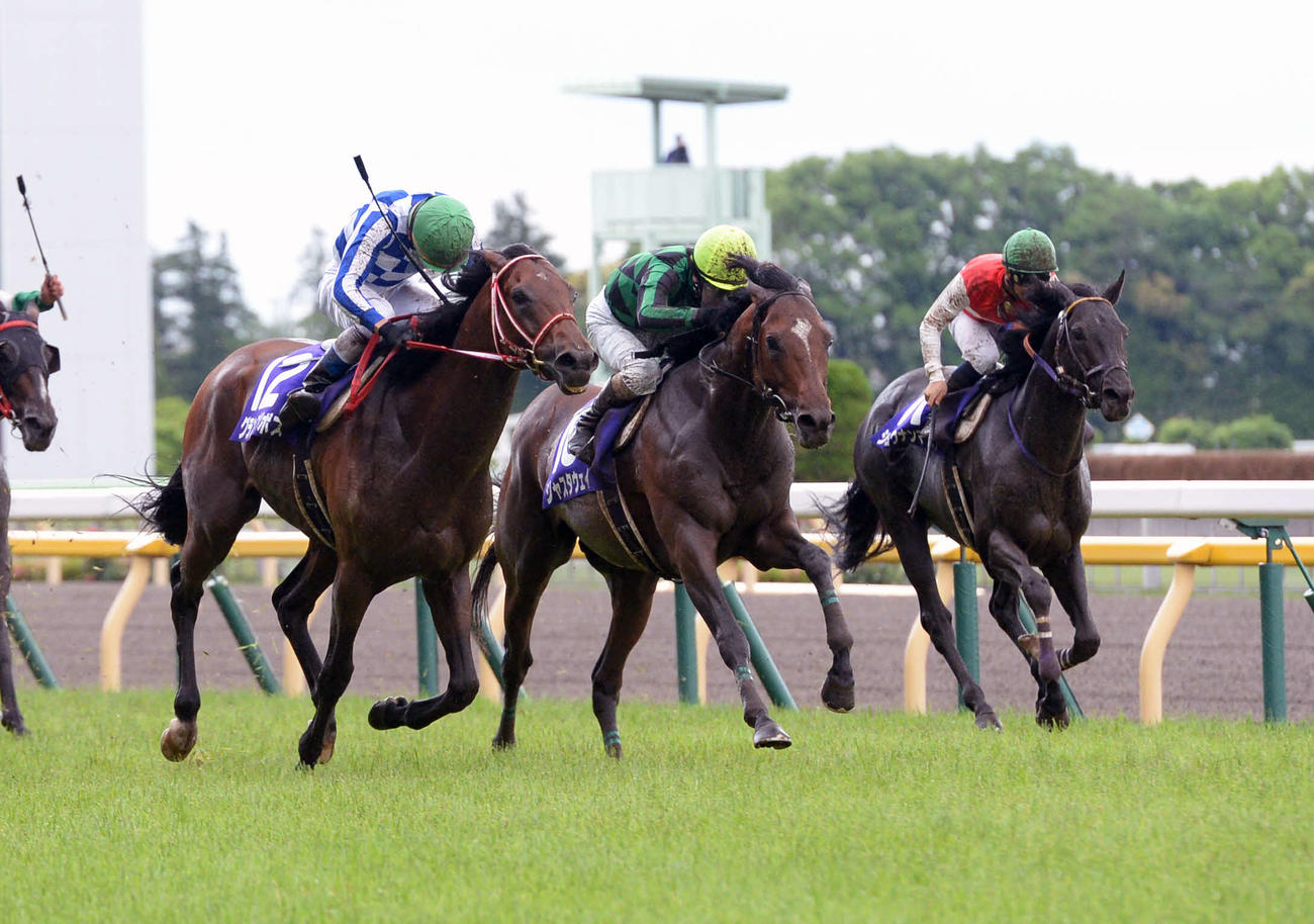 14年、グランプリボス（左）を鼻差でかわし安田記念を制したジャスタウェイ（中央）