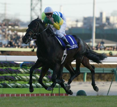 04年の有馬記念を制したゼンノロブロイ