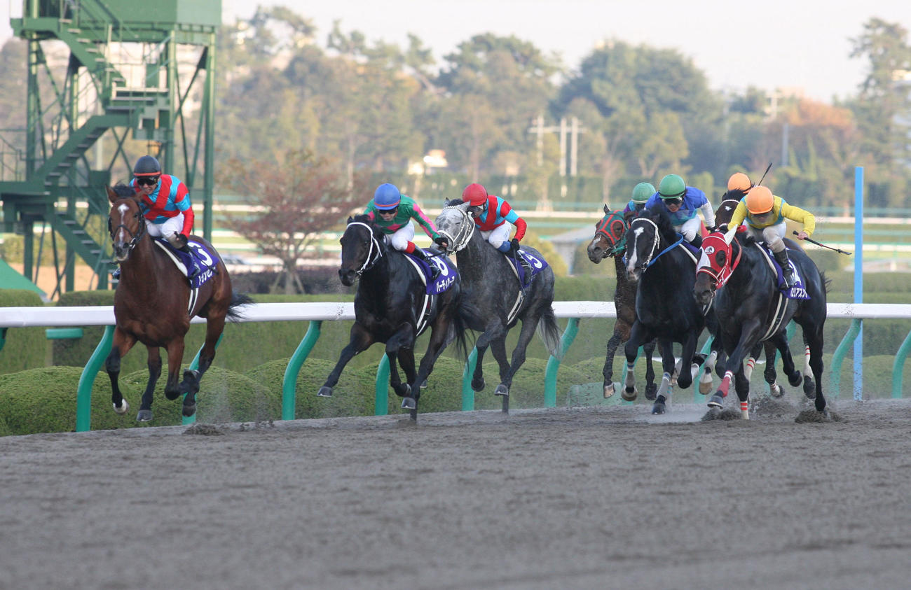10年のJCダートを制したトランセンド（左）