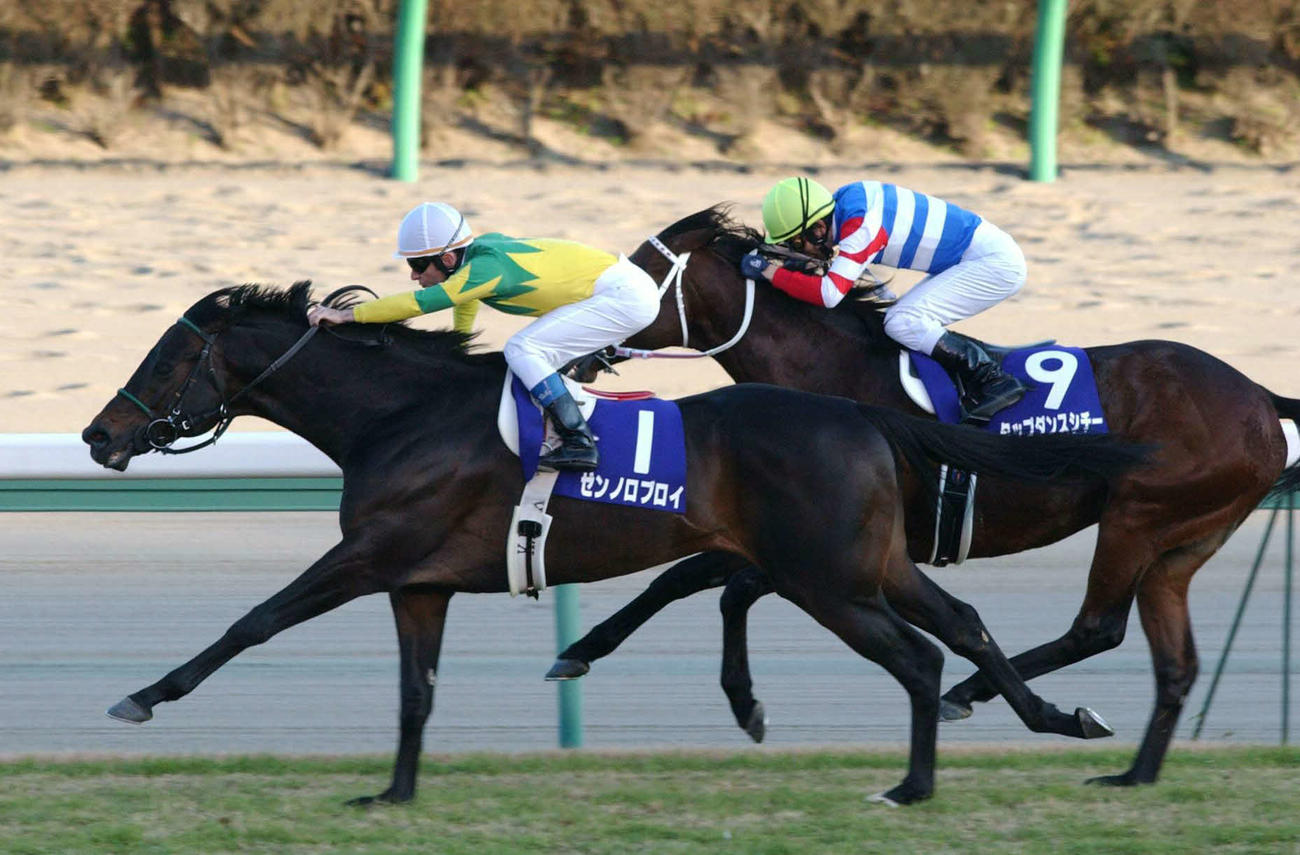 04年の有馬記念を制したゼンノロブロイ（左）