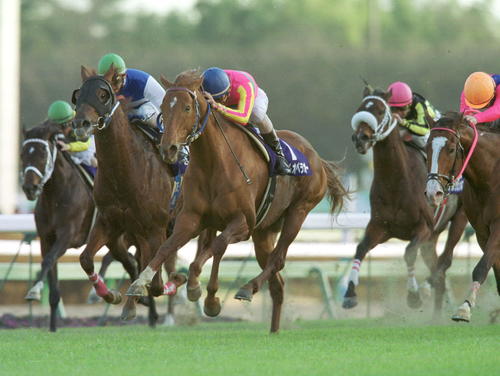 00年の有馬記念で馬群の狭い間を突き抜け制したテイエムオペラオーと和田竜騎手(中央)