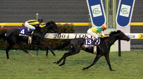 04年の天皇賞・秋を制したゼンノロブロイ(右)