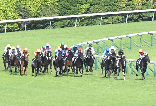 4角出口で外を回るドウデュース(左から2頭目)。同7頭目がイクイノックス