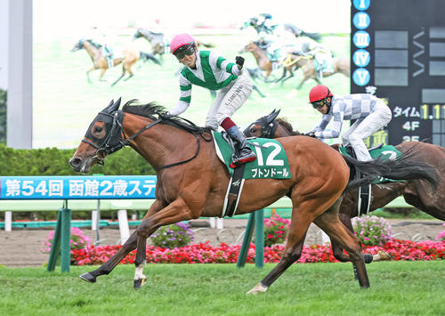 函館2歳Sを制し世代最初の重賞馬となったブトンドール（撮影・村野早祐）