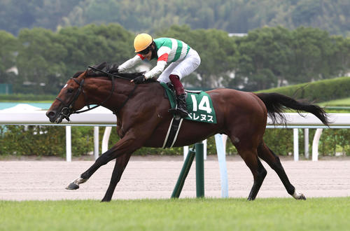 逃げ切って中京記念を制したベレヌス(2022年7月24日撮影)