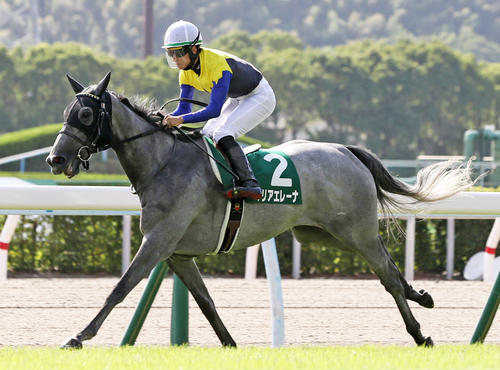 小倉記念を制したマリアエレーナと松山弘平騎手（撮影・屋方直哉）