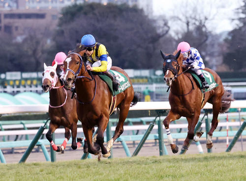 ソールオリエンスと横山武史騎手（中央）が京成杯を制した