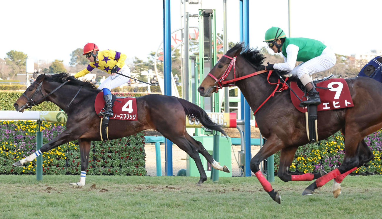 AJCCを制したノースブリッジと岩田康騎手（左）（撮影・丹羽敏通）
