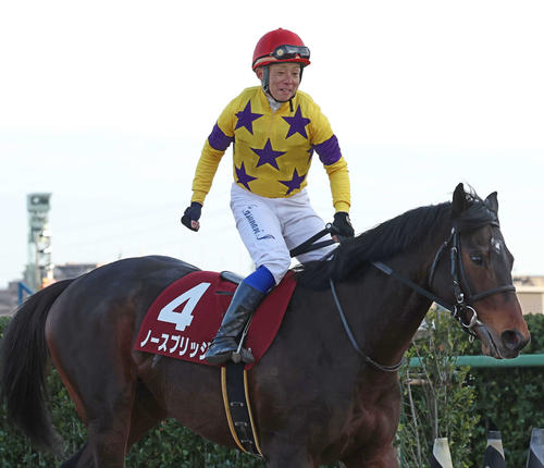 AJCCを制し歓喜の岩田康騎手とノースブリッジ（撮影・丹羽敏通）