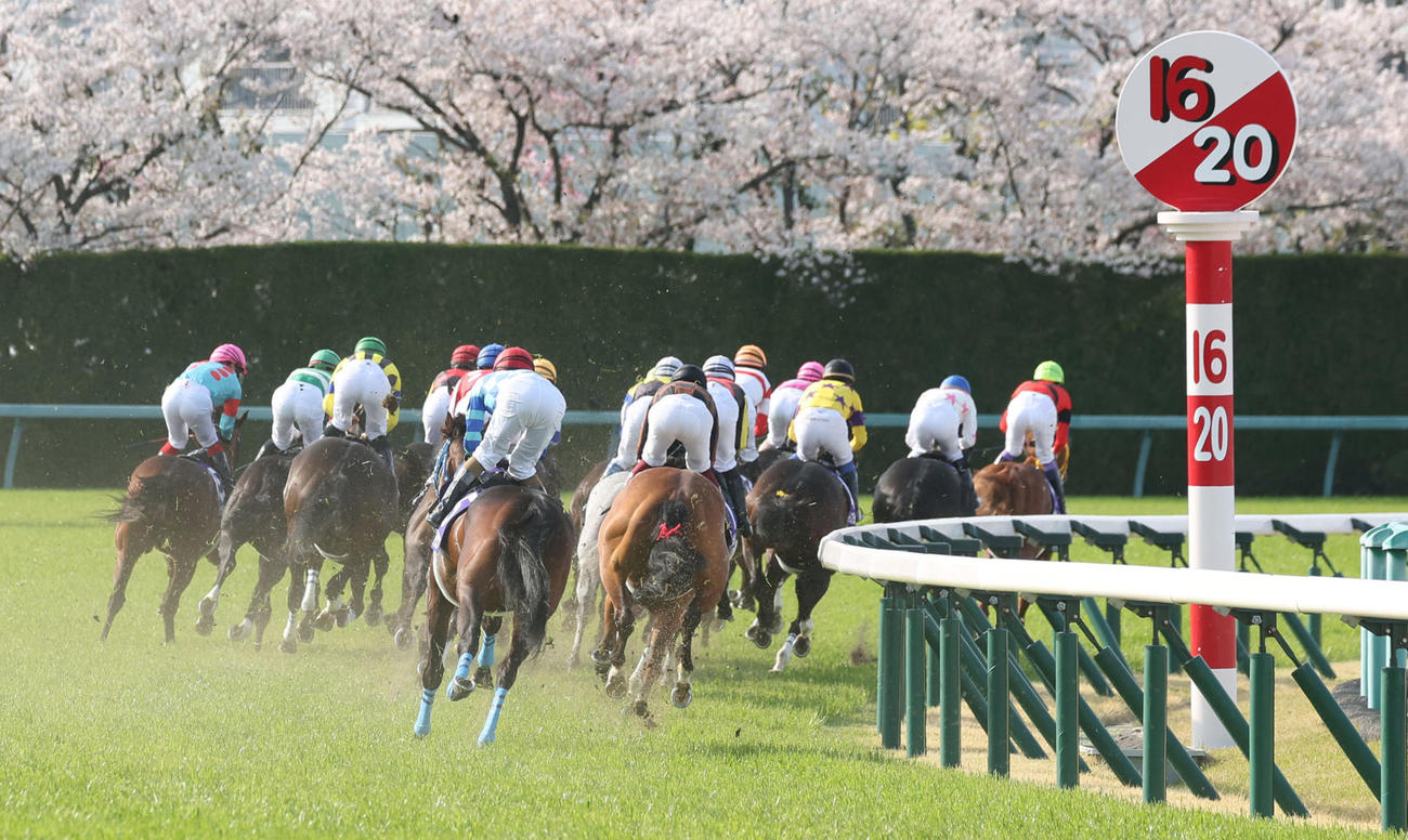 1コーナーを先頭で回るジャックドール（右）