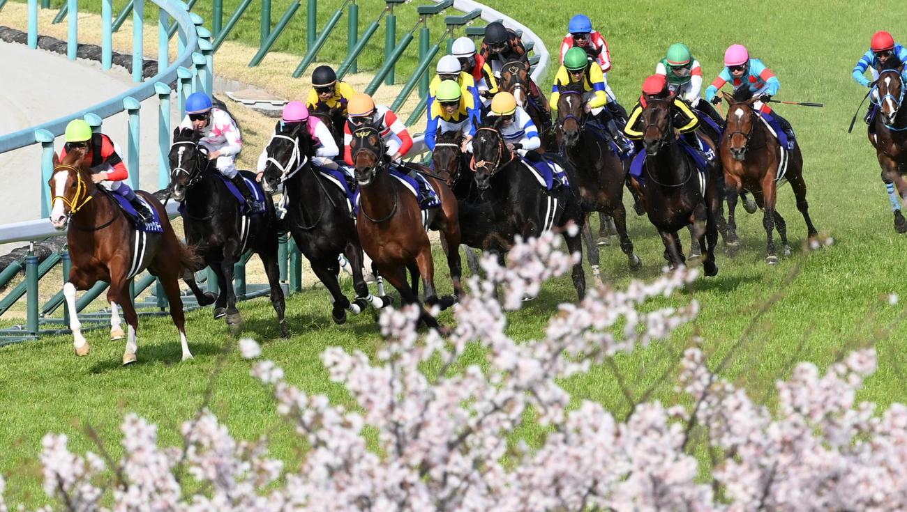 先頭で4コーナーを回るジャックドール（左）。右から5頭目は2着スターズオンアース