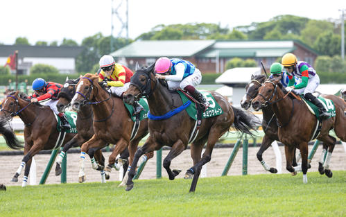 函館スプリントSを制したキミワクイーンと横山武騎手（中央）（撮影・村野早祐）