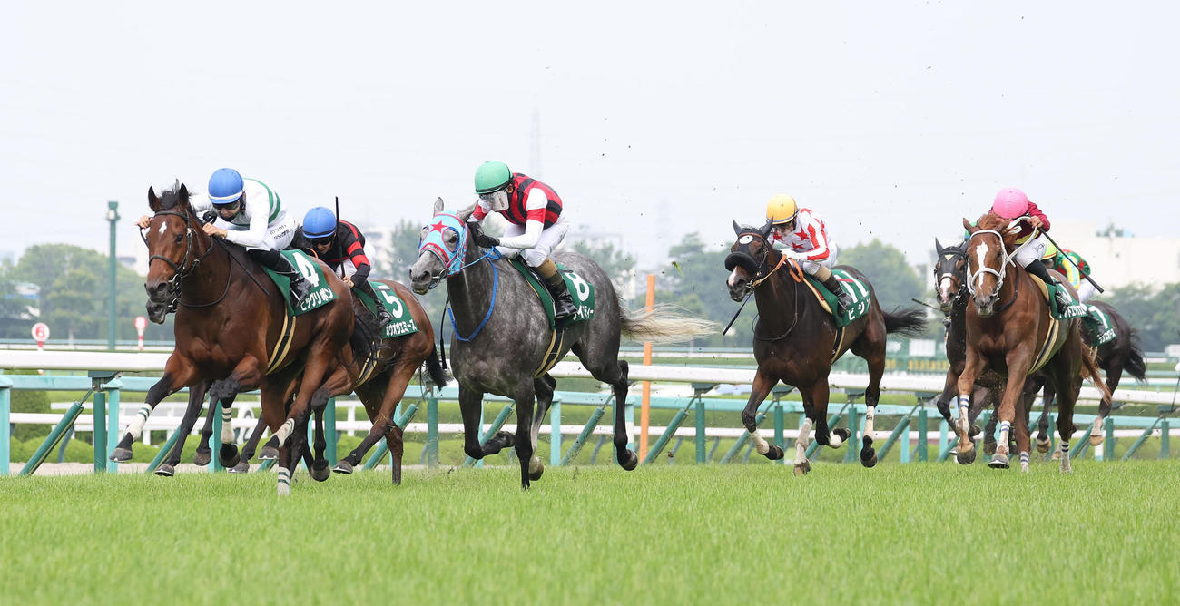 ビッグリボン（左）がマーメイドSを制した（2023年6月18日撮影）