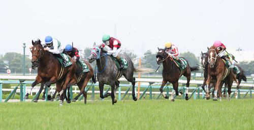 ビッグリボン（左）がマーメイドSを制した（2023年6月18日撮影）