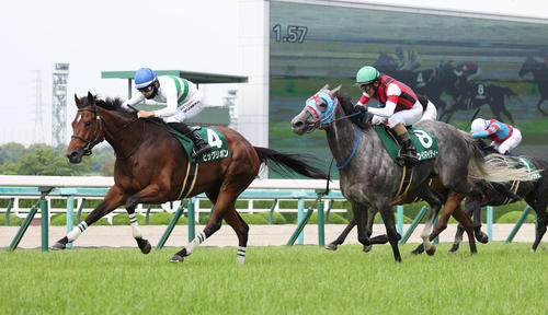 直線抜け出してマーメイドSを制したビッグリボン（左）（2023年6月18日撮影）