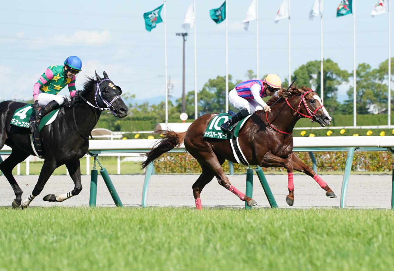 CBC賞を制したジャスパークローネ（撮影・森本幸一）