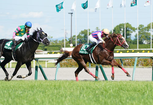 CBC賞を制したジャスパークローネ（撮影・森本幸一）