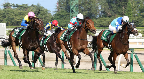 関屋記念を制したアヴェラーレと戸崎騎手（中央）（撮影・丹羽敏通）